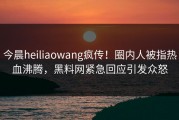 今晨heiliaowang疯传！圈内人被指热血沸腾，黑料网紧急回应引发众怒