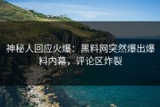 神秘人回应火爆：黑料网突然爆出爆料内幕，评论区炸裂