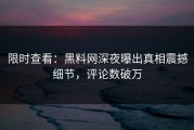 限时查看：黑料网深夜曝出真相震撼细节，评论数破万