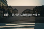 刚刚！黑料网现场画面意外曝光