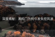 深度揭秘：黑料门为何引发失控风波