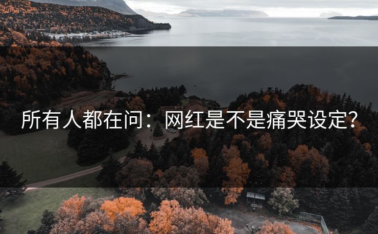 所有人都在问：网红是不是痛哭设定？