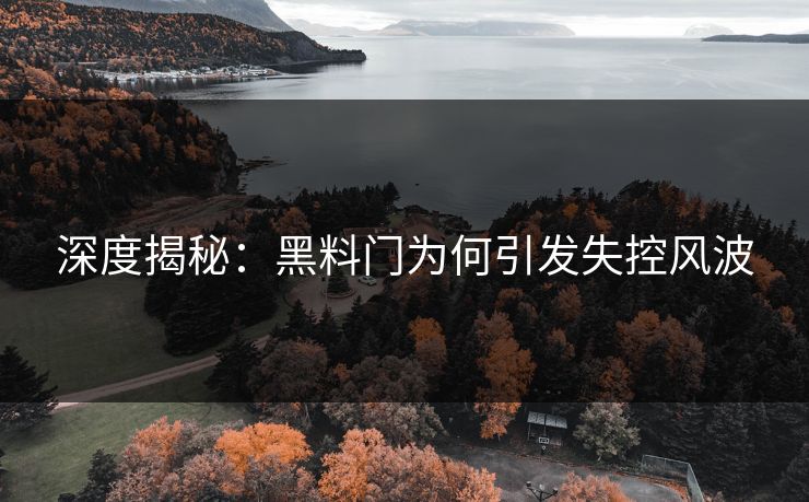 深度揭秘：黑料门为何引发失控风波
