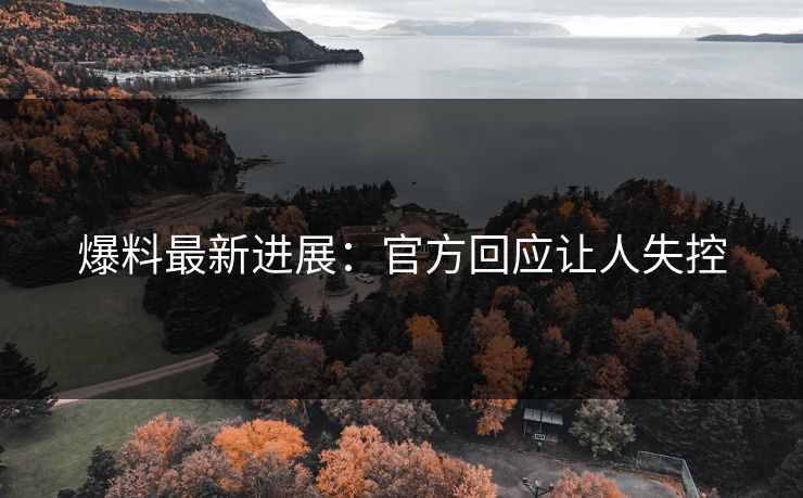 爆料最新进展：官方回应让人失控