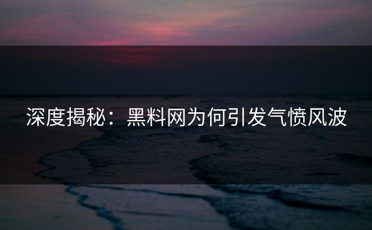 深度揭秘：黑料网为何引发气愤风波