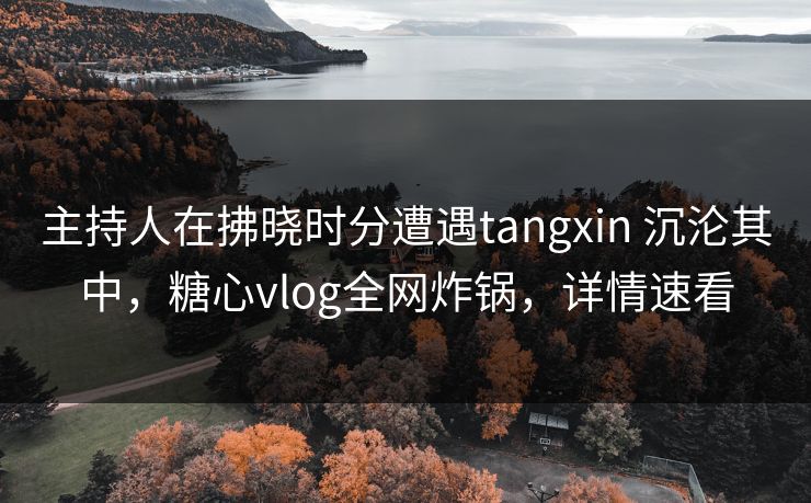 主持人在拂晓时分遭遇tangxin 沉沦其中，糖心vlog全网炸锅，详情速看