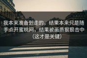 我本来准备划走的，结果本来只是随手点开蜜桃网，结果被画质狠狠击中（这才是关键）